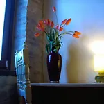 Bed and Breakfast Mulini Venturi Saludecio