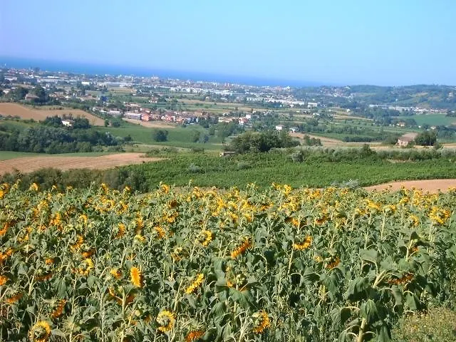 Oda ve Kahvaltı Mulini Venturi