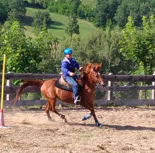 ベッド・アンド・ブレックファスト Mulini Venturi